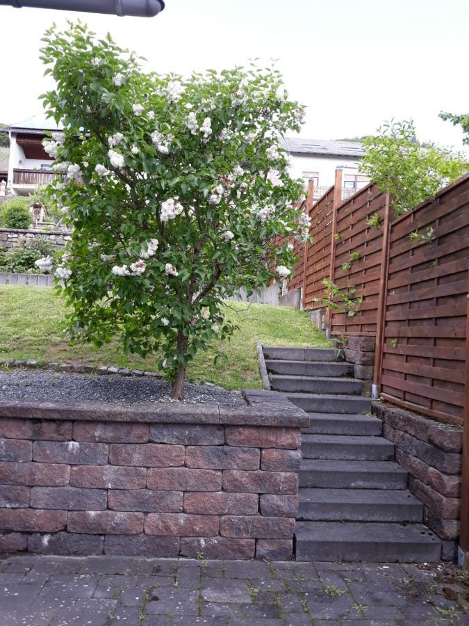 Ferienwohnung Saarblick Ockfen Exterior foto